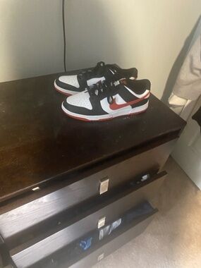 nike dunks (never worn)